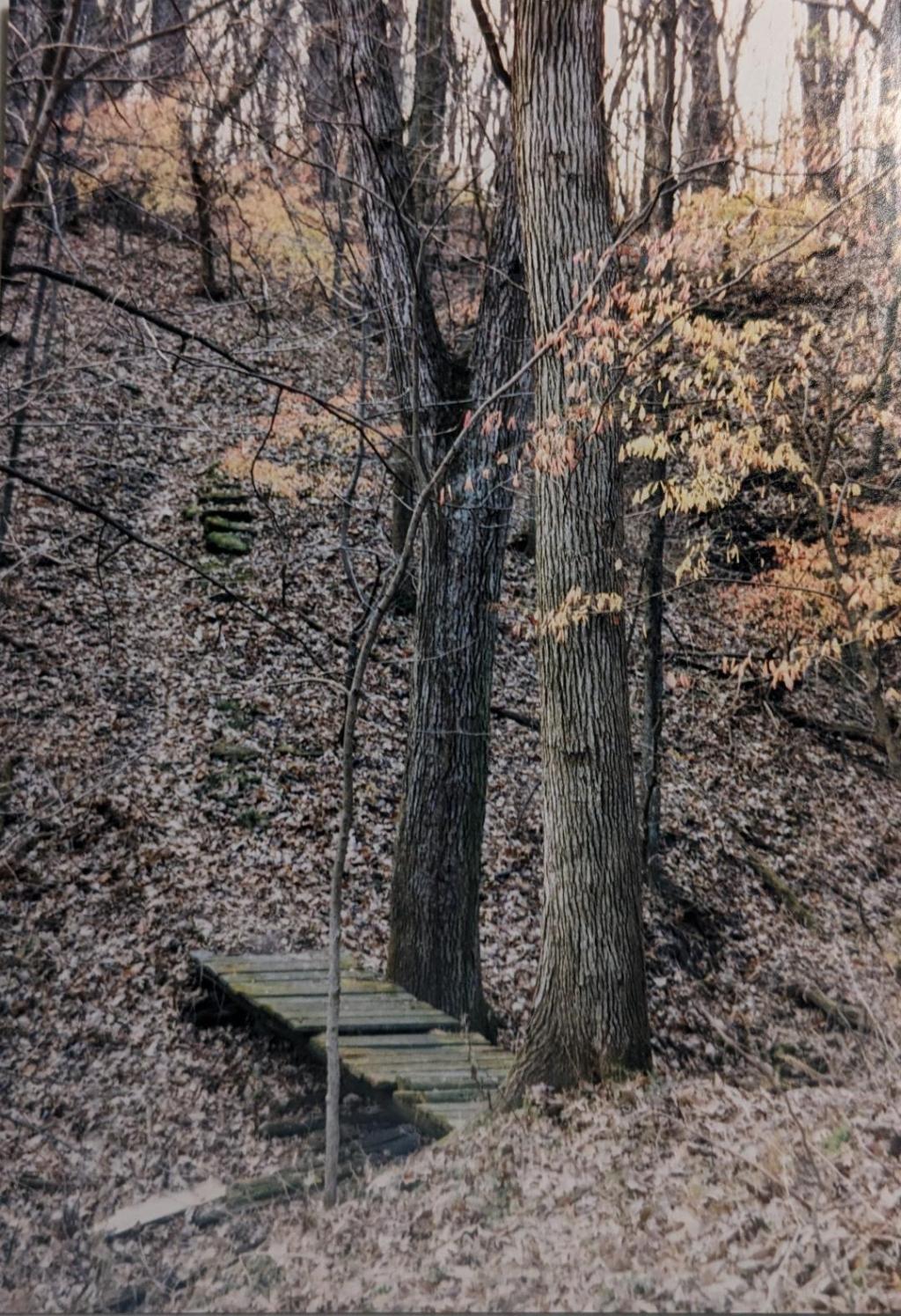 A Nature Excursion