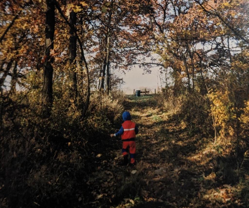Daddy What Is A Forest?