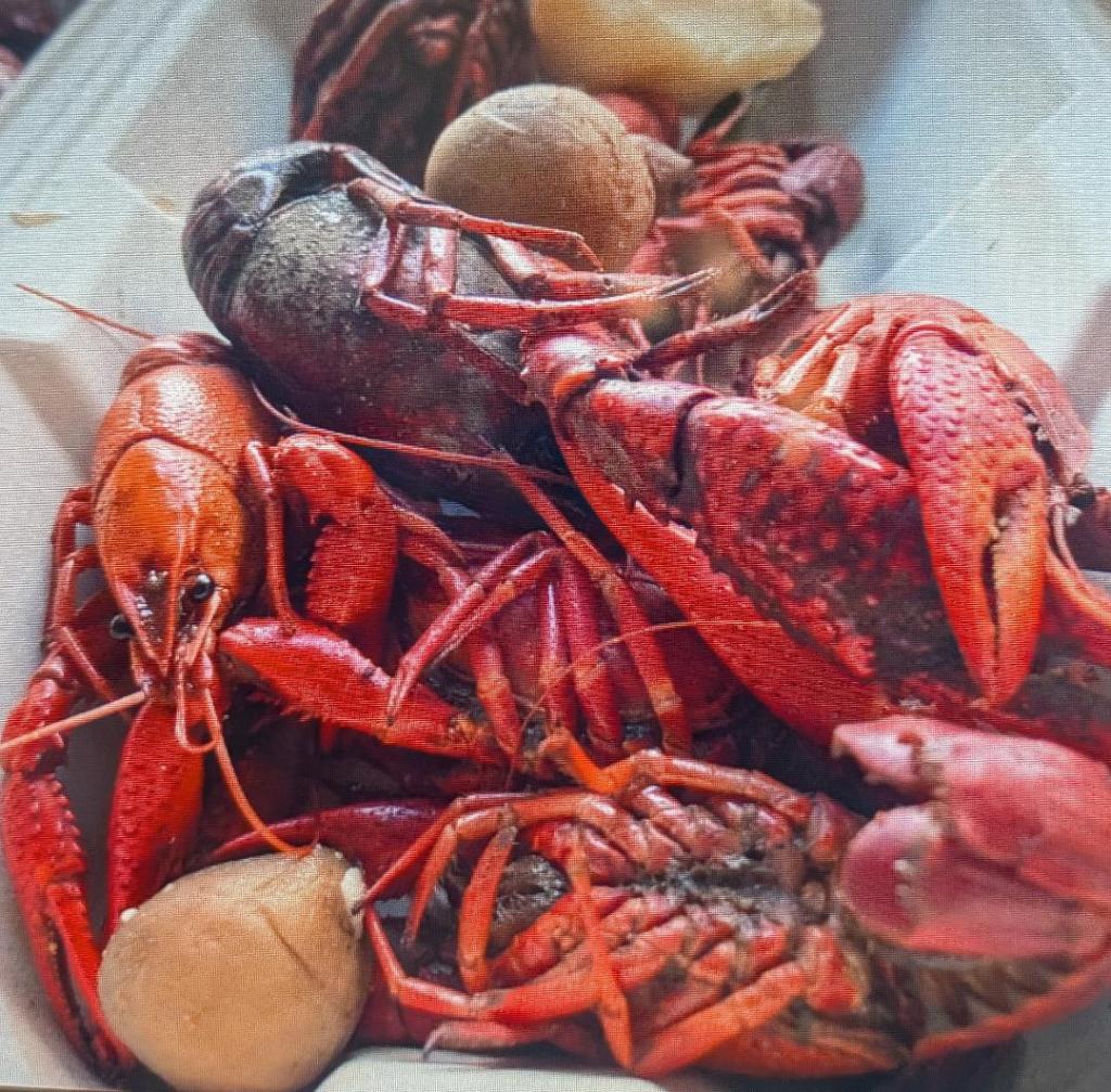 Jazzy North Carolina